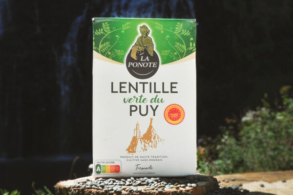 Lentille Vertes du Puy Panote